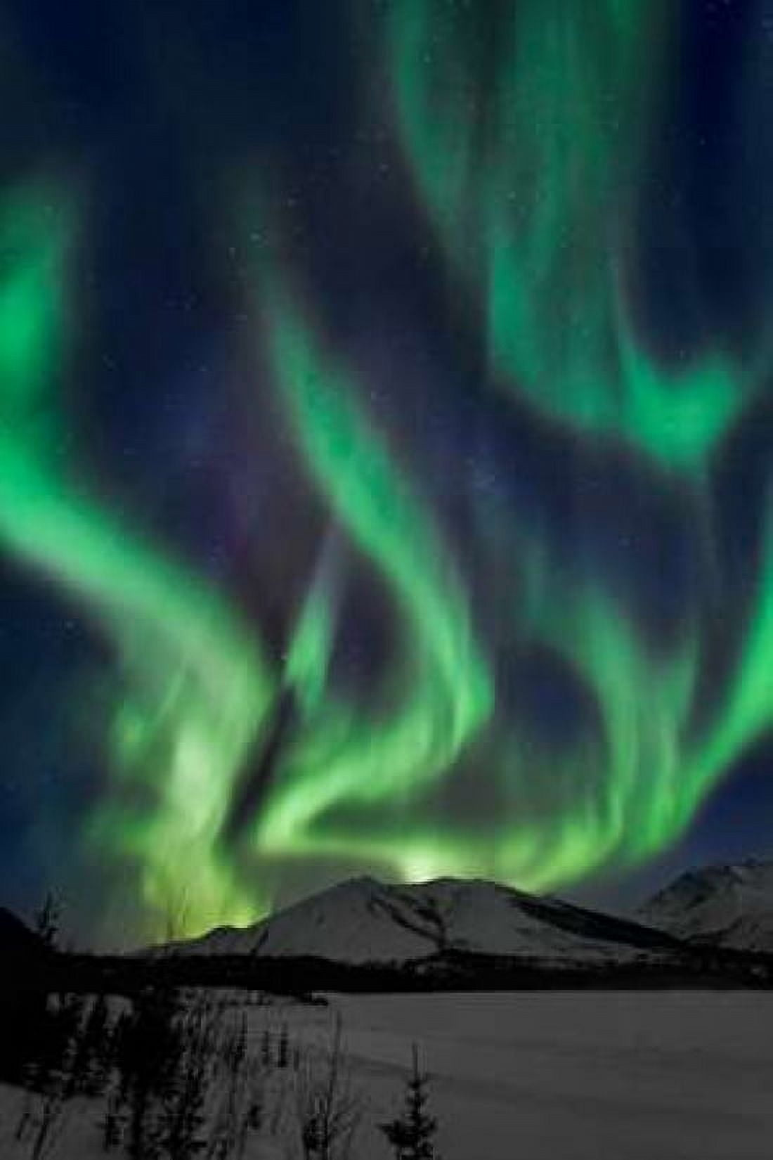 Aurora Borealis XIV Canvas Art - Larry Malvin (24 x 36)