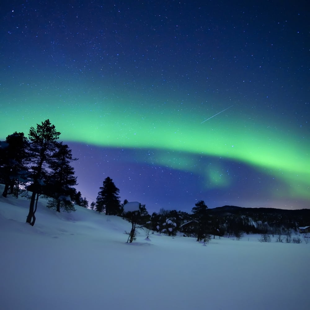 Aurora Borealis and a shooting star in the woods of Troms County Norway Canvas Art - Arild HeitmannStocktrek Images (28 x 28)