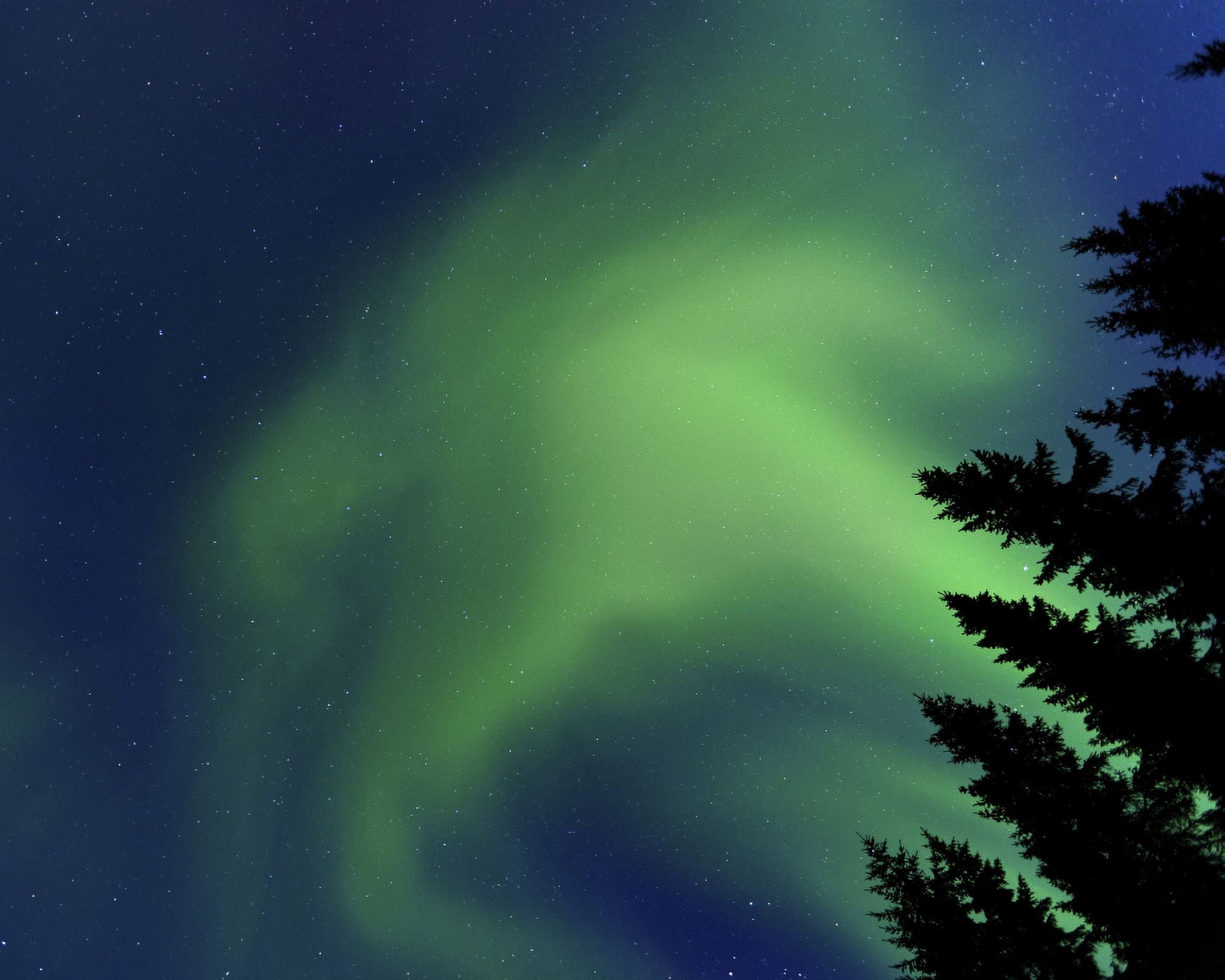 Aurora Borealis in Troms County Norway Canvas Art - Arild HeitmannStocktrek Images (32 x 25)
