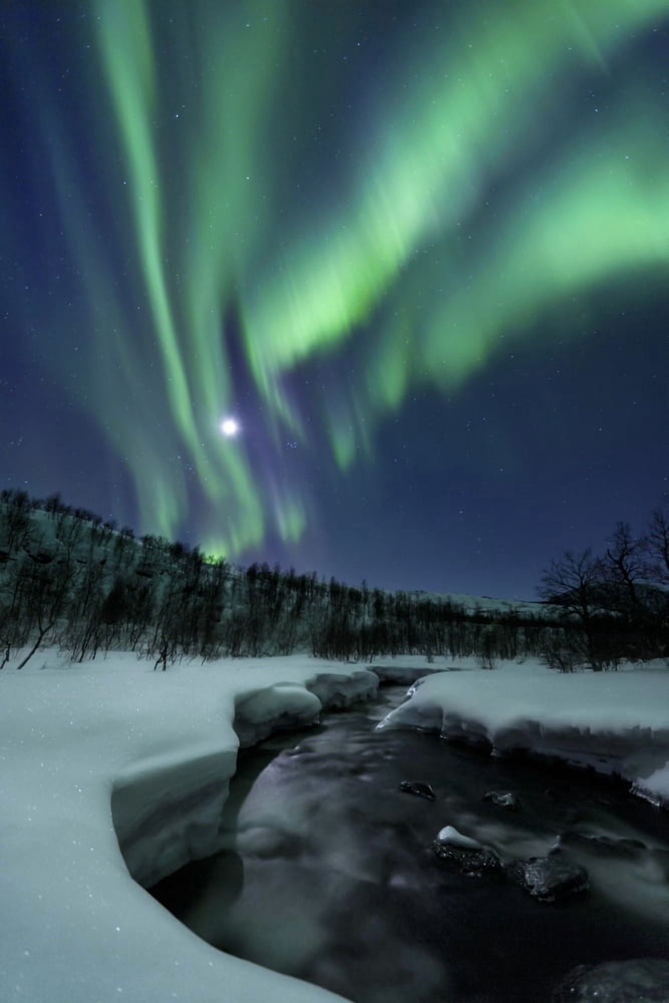 Aurora Borealis over Blafjellelva River in Troms County Norway Canvas Art - Arild HeitmannStocktrek Images (23 x 35)
