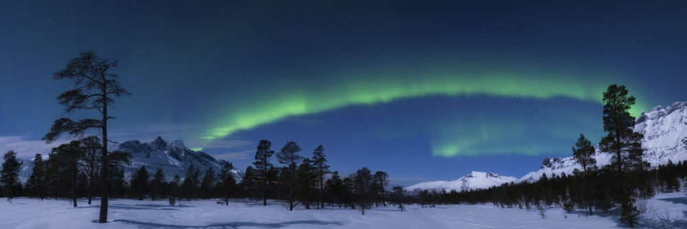 Aurora Borealis over Nova Mountain Wilderness Norway Canvas Art - Arild HeitmannStocktrek Images (48 x 16)