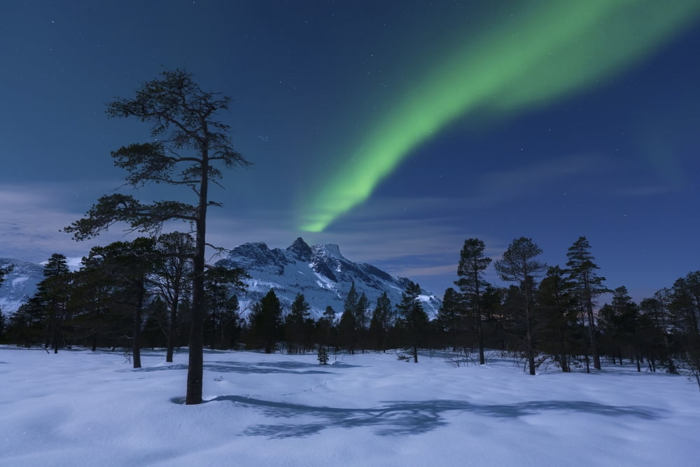 Aurora Borealis over Nova Mountain Wilderness Troms Norway Canvas Art - Arild HeitmannStocktrek Images (34 x 23)