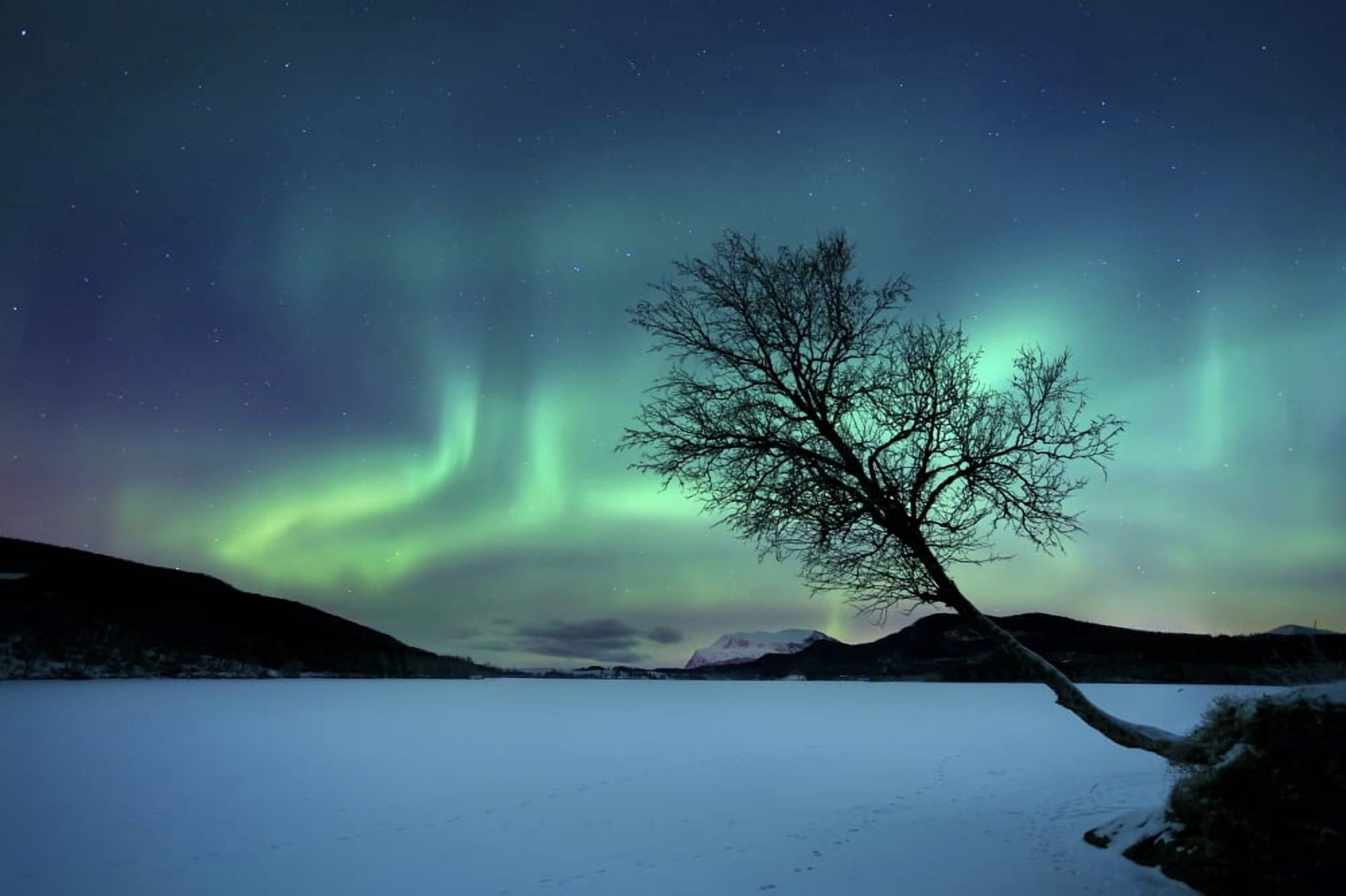 Aurora Borealis over Sandvannet Lake in Troms County Norway Canvas Art - Arild HeitmannStocktrek Images (35 x 23)