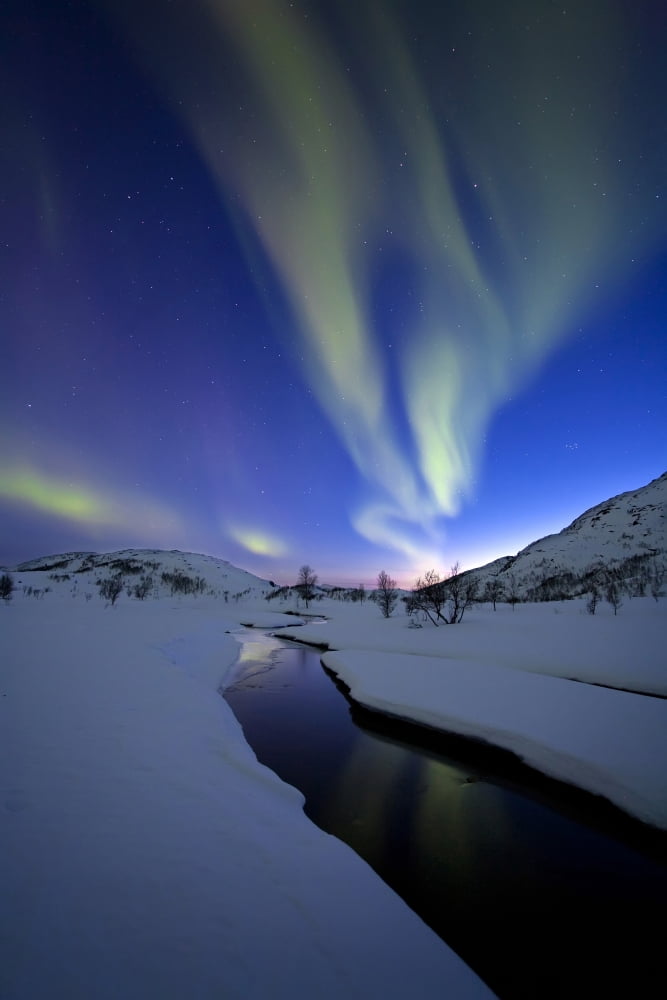 Aurora Borealis over Skittendalen Valley Troms County Norway Canvas Art - Arild HeitmannStocktrek Images (12 x 18)