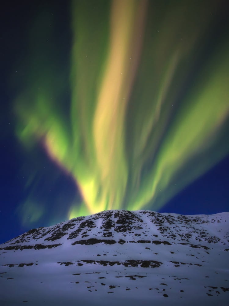 Aurora Borealis over Toviktinden Mountain in Troms County Norway Canvas Art - Arild HeitmannStocktrek Images (12 x 16)