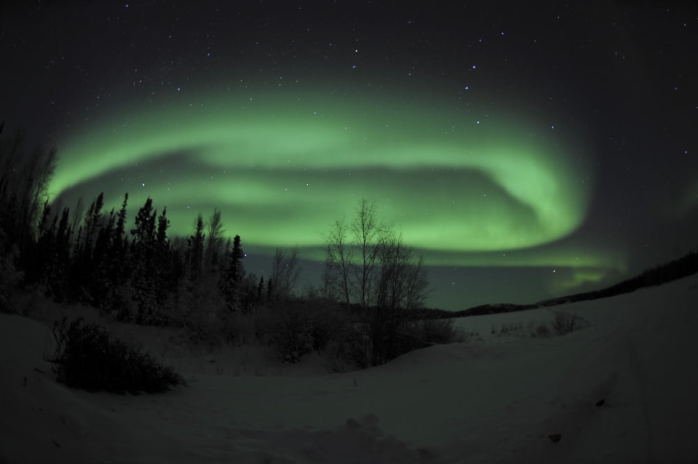 Aurora Borealis over Vee Lake Northwest Territories Canada Canvas Art - Jiri HermannStocktrek Images (18 x 12)