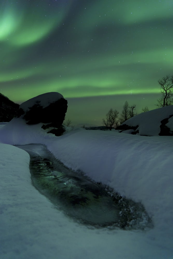 Aurora Borealis over a frozen river Nordland Norway Canvas Art - Arild HeitmannStocktrek Images (12 x 17)