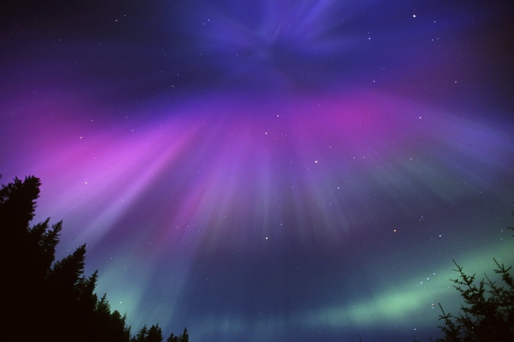 Aurora Corona Over Crow Creek Girdwood During Winter In Southcentral Alaska Canvas Art - Daryl Pederson Design Pics (17 x 11)