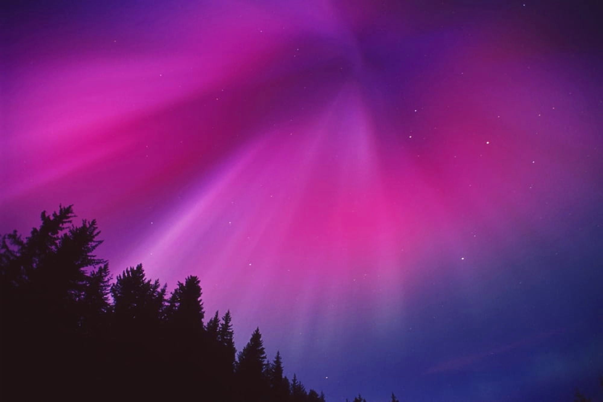 Aurora Corona Over Crow Creek Girdwood During Winter In Southcentral Alaska Canvas Art - Daryl Pederson Design Pics (34 x 22)