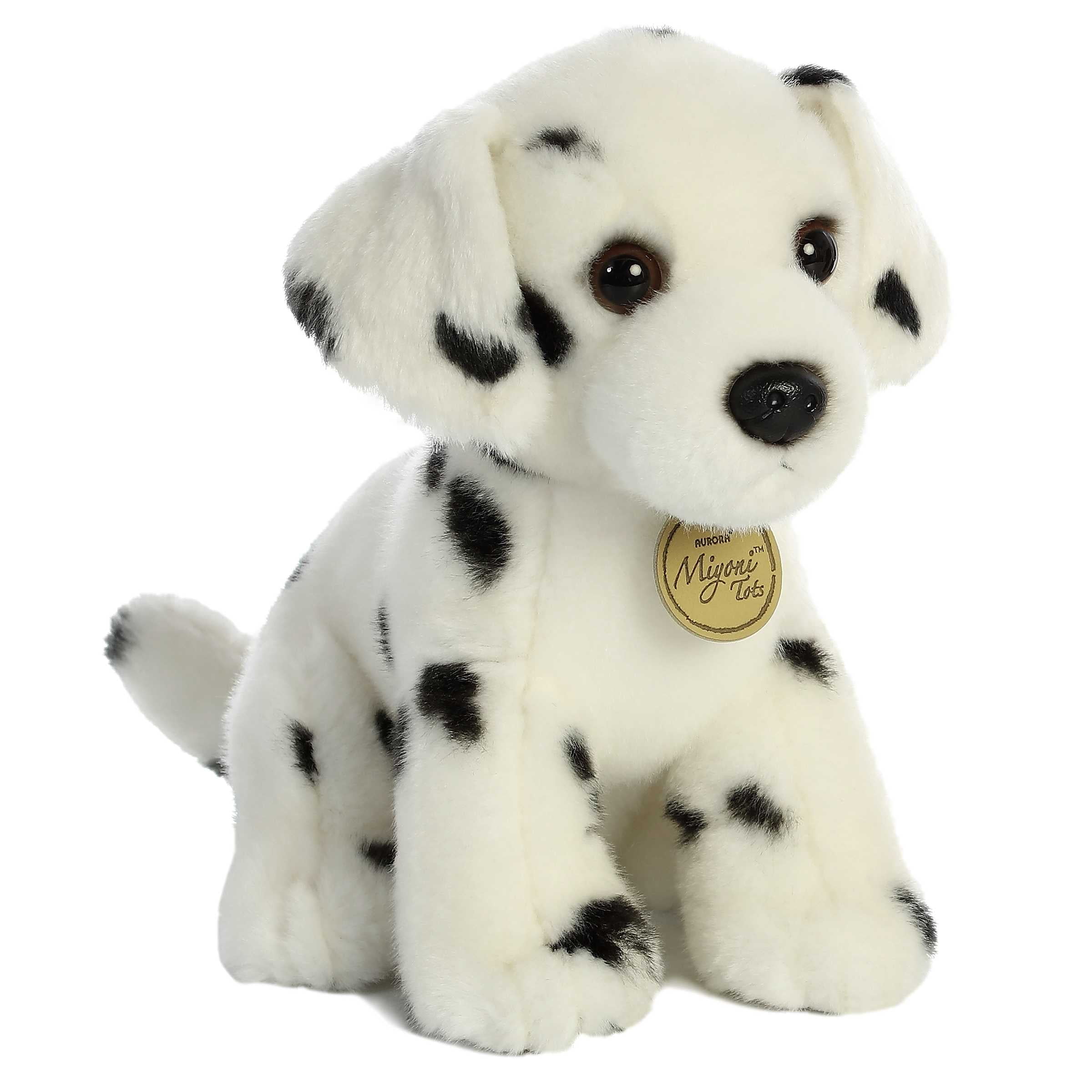 Miyoni by top aurora dog