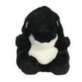 Aurora Palm Pals Juneau Orca Peluche 13 Cm – Morbido Giocattolo A Forma Di Balena Assassina, Nero E Bianco
