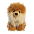thumbnail image 1 of Aurora - Small Brown Miyoni Tots - 8" Pomeranian Pup - Adorable Stuffed Animal, 1 of 5