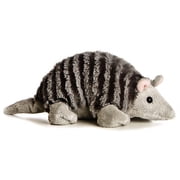 Aurora 8 Inches Armadillo