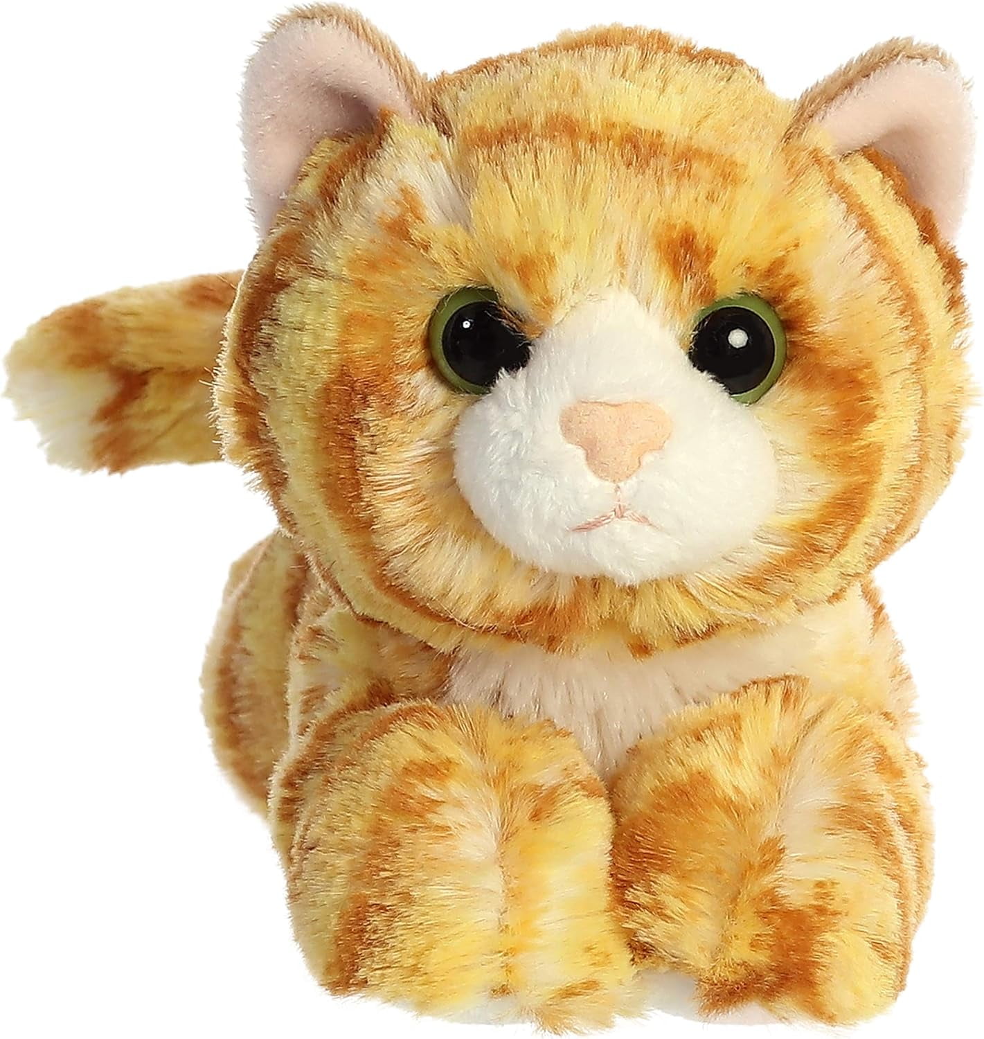Ginger Cat
