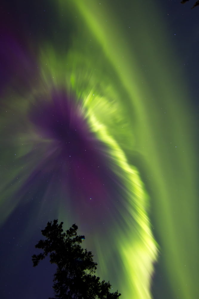 Aurora borealis Whitehorse Yukon Canada Canvas Art - Joseph BradleyStocktrek Images (12 x 18)