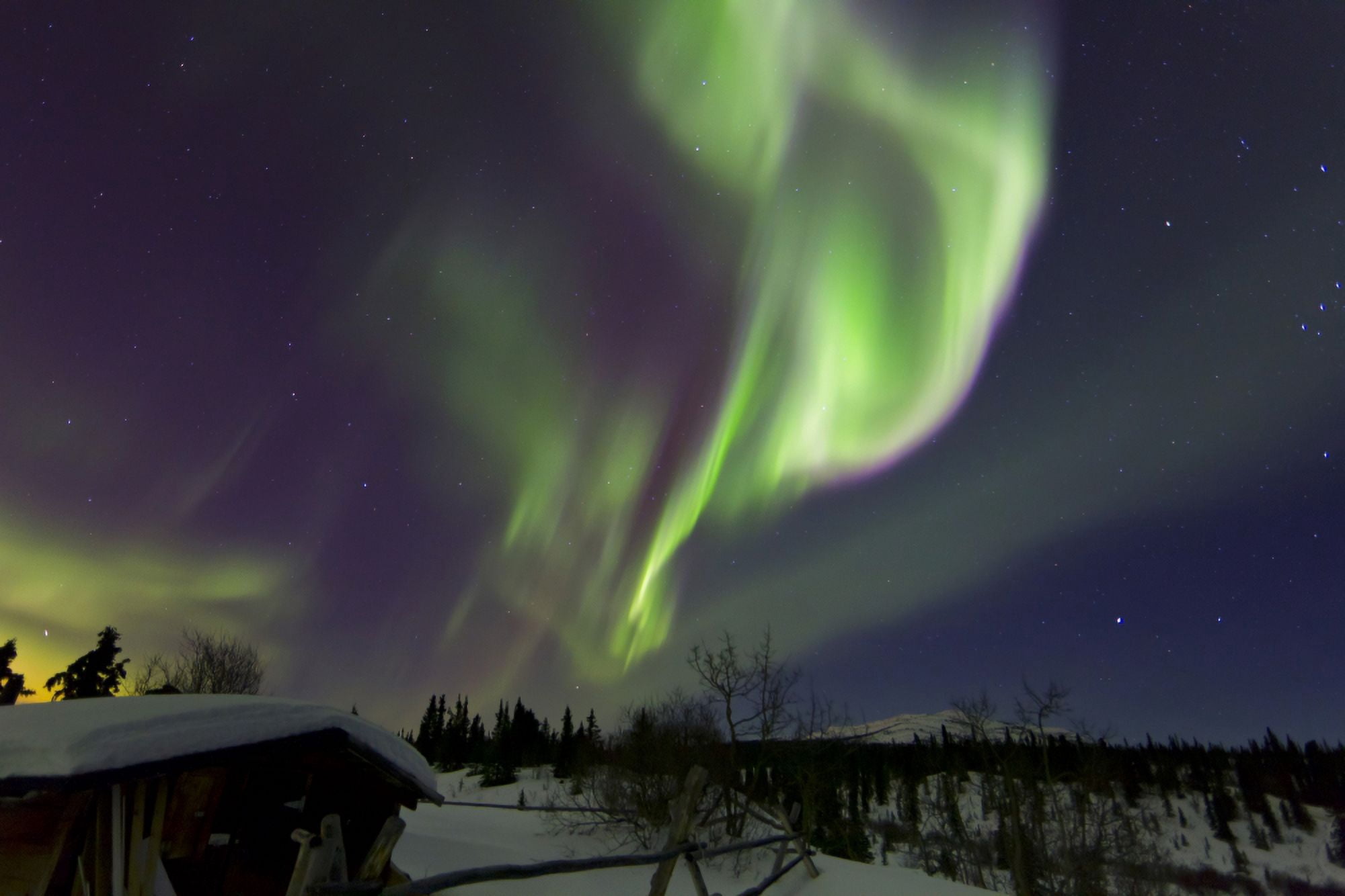 Aurora borealis above a cabin at Fish Lake Whitehorse Yukon Canada Canvas Art - Joseph BradleyStocktrek Images (35 x 23)