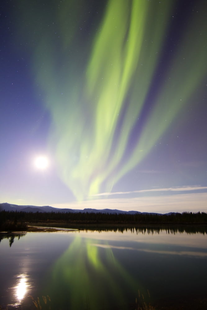 Aurora borealis and Full Moon over the Yukon River Canada Canvas Art - Joseph BradleyStocktrek Images (12 x 18)