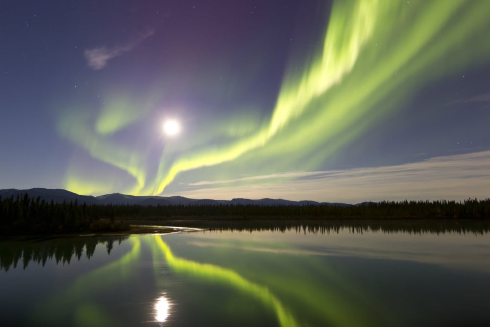 Aurora borealis and Full Moon over the Yukon River Canada Canvas Art - Joseph BradleyStocktrek Images (35 x 23)