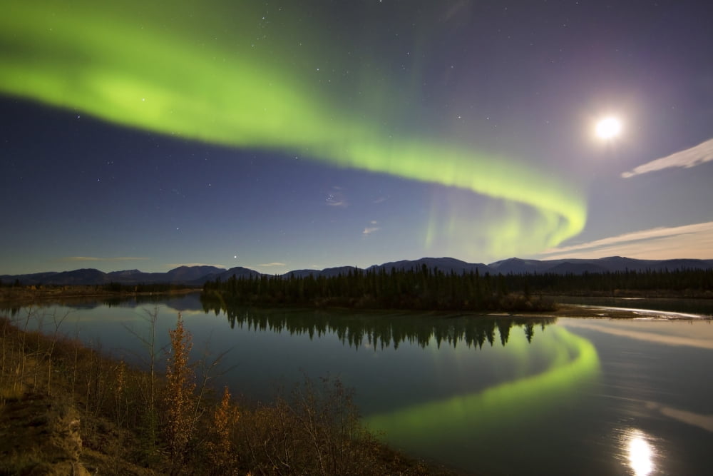 Aurora borealis and Full Moon over the Yukon River Canada Canvas Art - Joseph BradleyStocktrek Images (35 x 23)