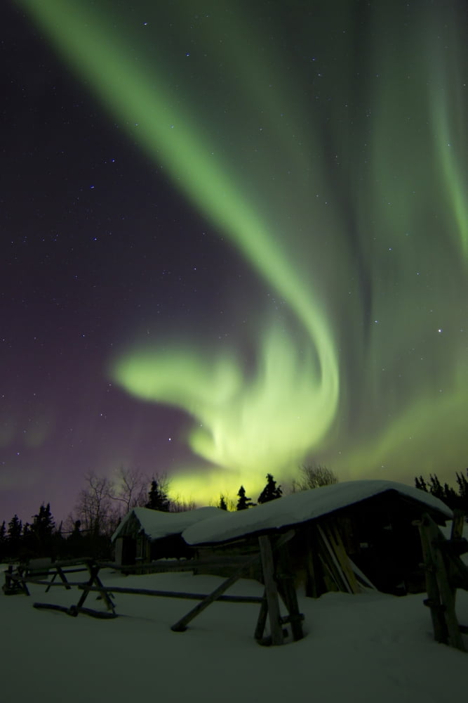 Aurora borealis and the Big Dipper above a log cabin at Whitehorse Yukon Canada Canvas Art - Joseph BradleyStocktrek Images (23 x 35)