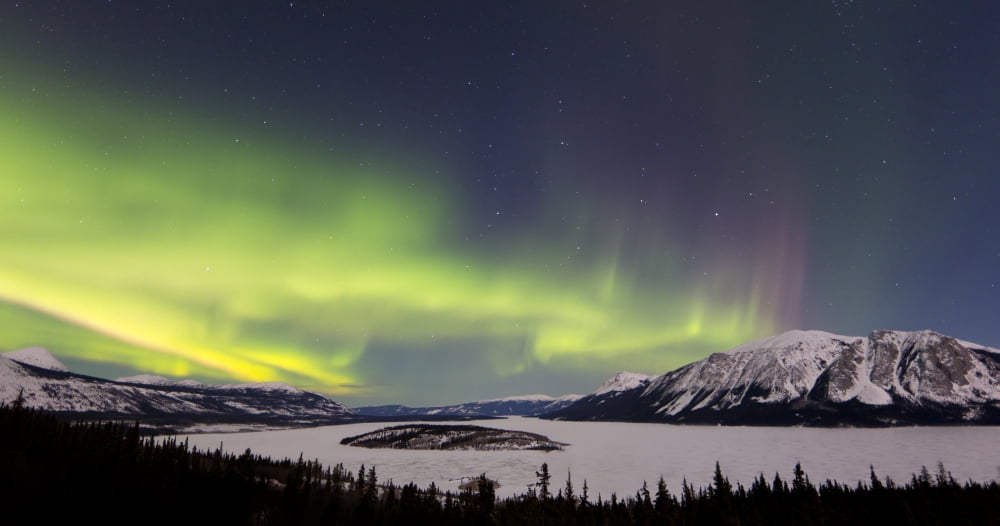 Aurora borealis over Bove Island Yukon Canada Canvas Art - Joseph BradleyStocktrek Images (39 x 20)