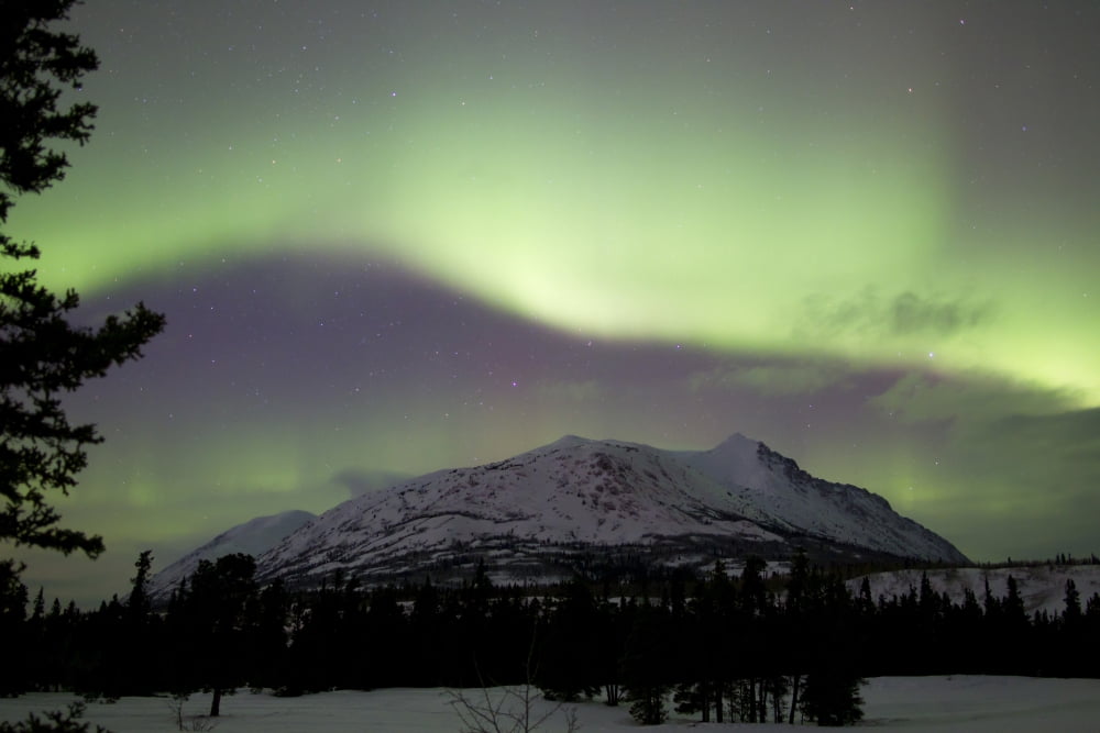 Aurora borealis over Carcross Desert Carcross Yukon Canada Canvas Art - Joseph BradleyStocktrek Images (18 x 12)