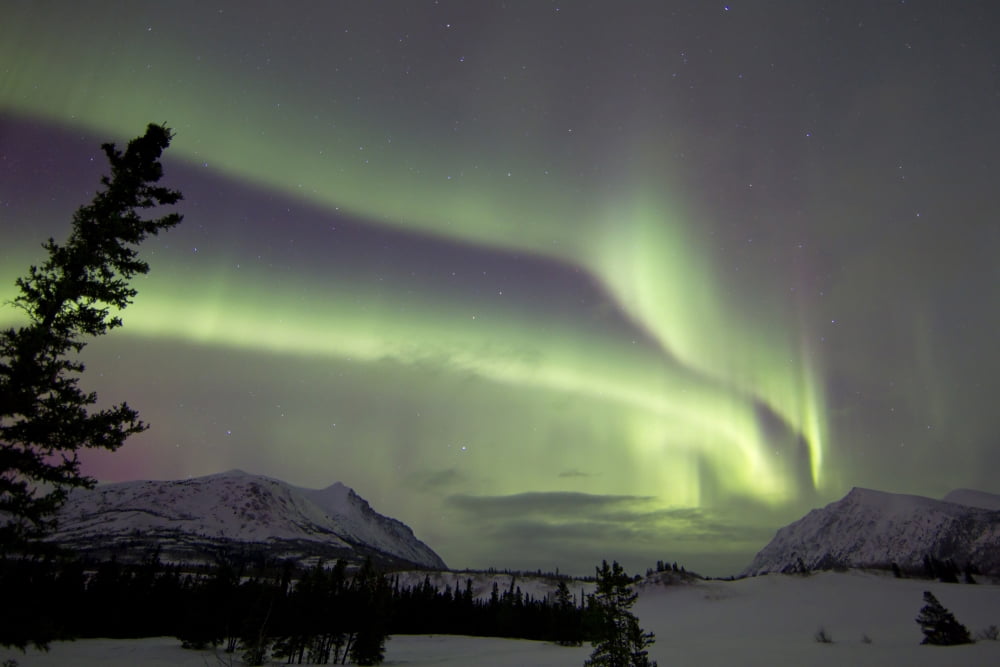 Aurora borealis over Carcross Desert Carcross Yukon Canada Canvas Art - Joseph BradleyStocktrek Images (18 x 12)
