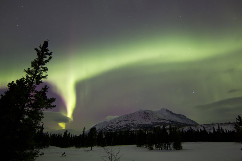 Aurora borealis over Carcross Desert Carcross Yukon Canada Canvas Art - Joseph BradleyStocktrek Images (35 x 23)
