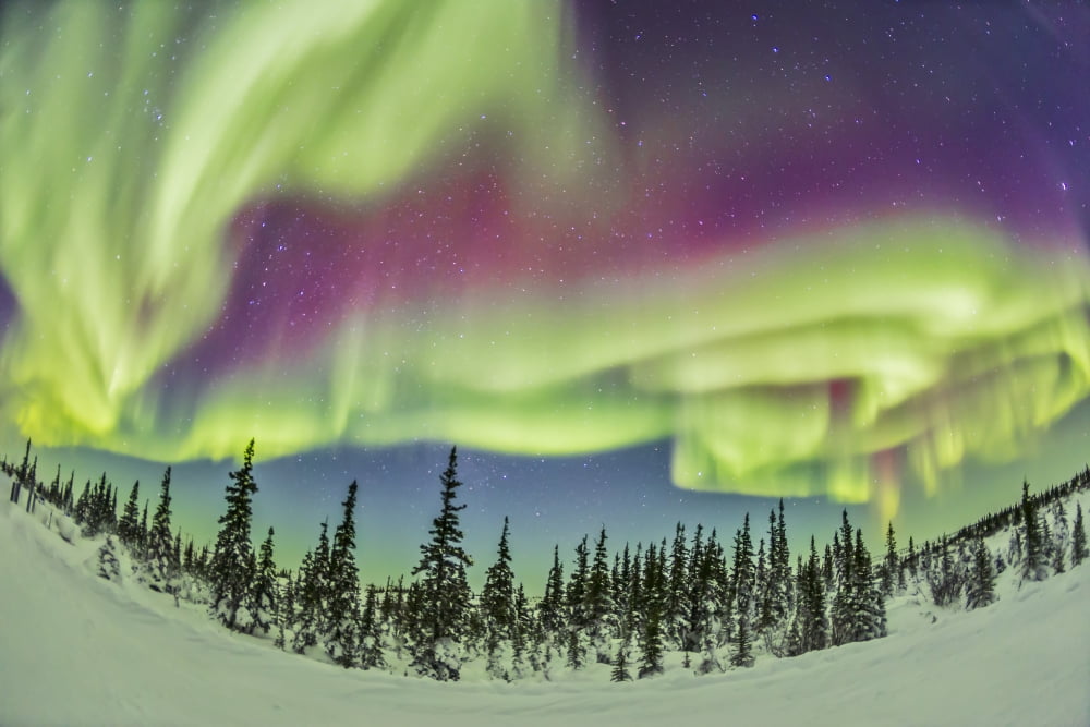Aurora borealis over Churchill Manitoba Canada Canvas Art - Alan DyerStocktrek Images (17 x 12)