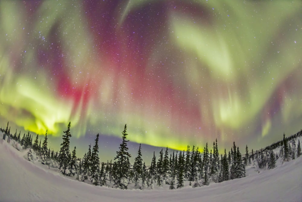Aurora borealis over Churchill Manitoba Canada Canvas Art - Alan DyerStocktrek Images (17 x 12)