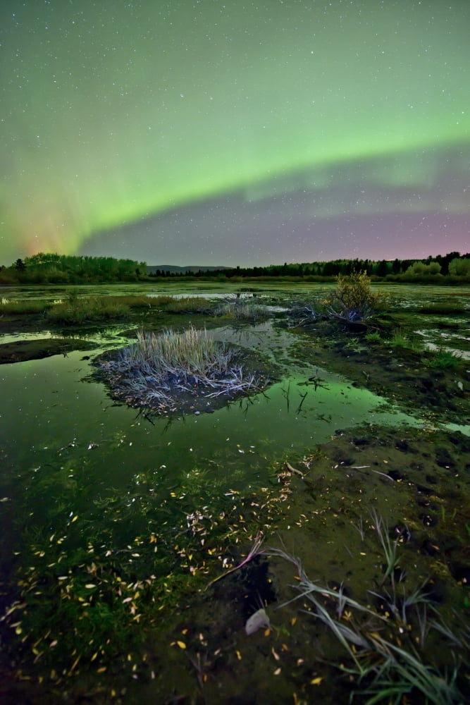 Aurora borealis over Fish Lake Whitehorse Yukon Canada Canvas Art - Jonathan TuckerStocktrek Images (12 x 18)