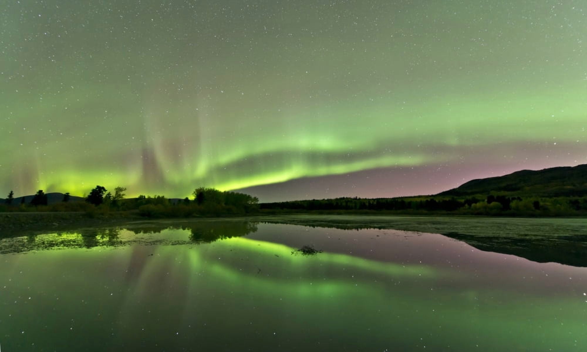 Aurora borealis over Fish Lake Whitehorse Yukon Canada Canvas Art - Jonathan TuckerStocktrek Images (37 x 22)