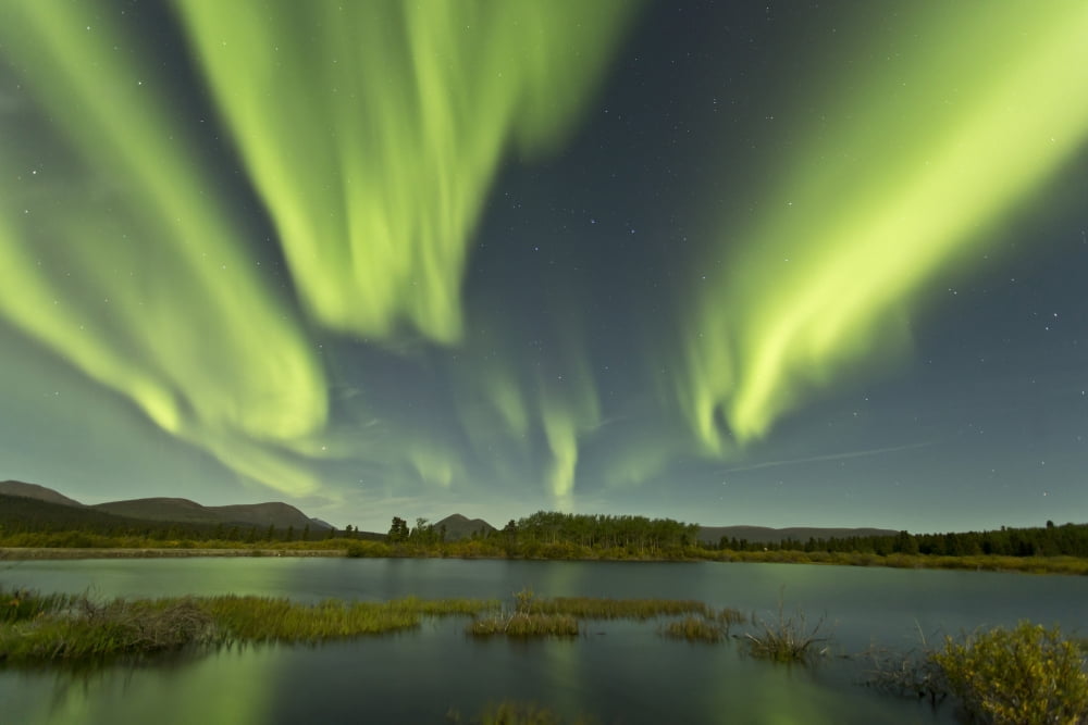 Aurora borealis over Fish Lake Yukon Canada Canvas Art - Jonathan TuckerStocktrek Images (35 x 23)