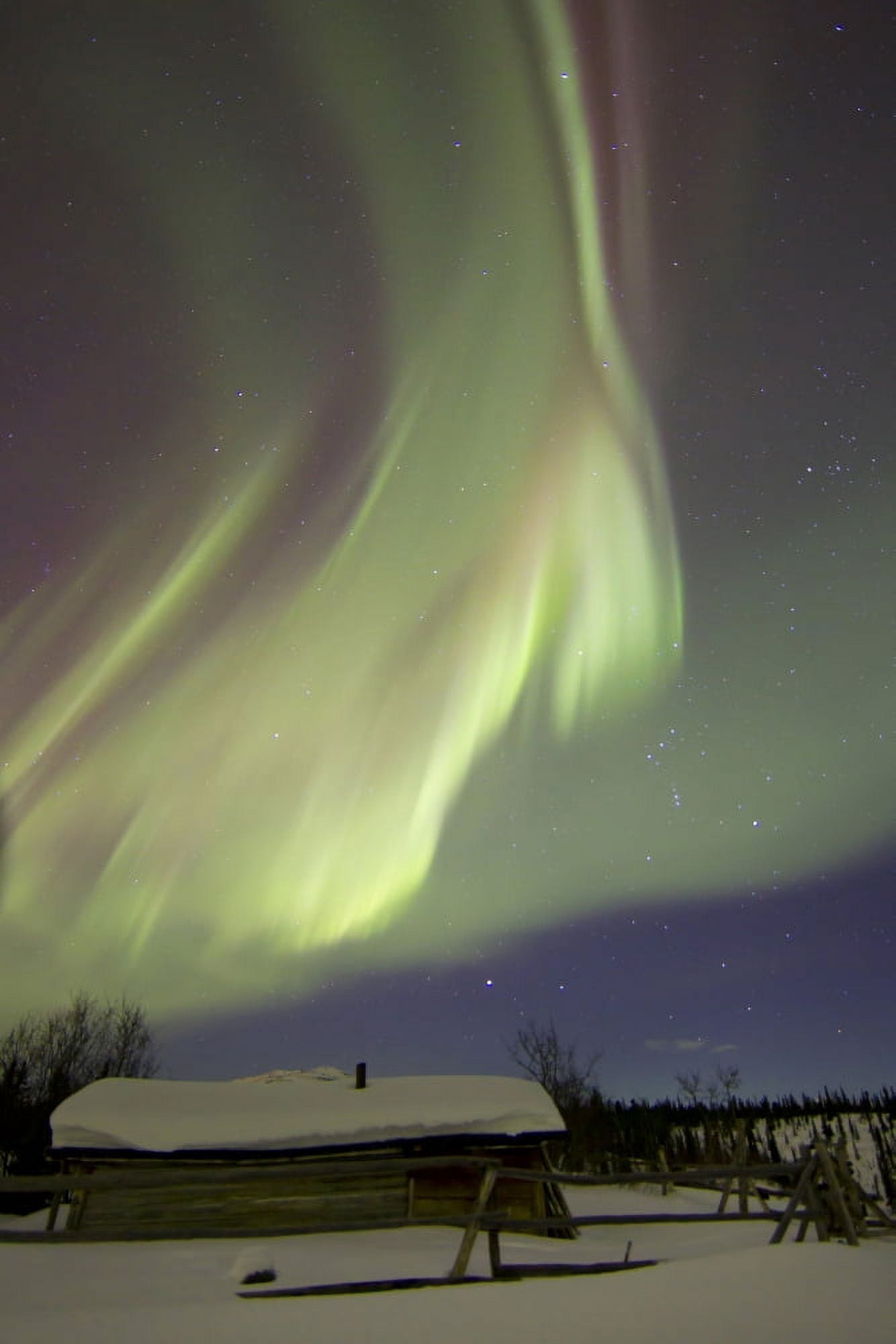 Aurora borealis over Fish lake with Orions Belt Yukon Canada Canvas Art - Joseph BradleyStocktrek Images (23 x 35)