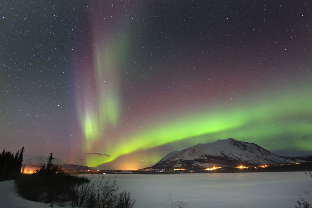 Aurora borealis over Nares Lake Carcross Yukon Canada Canvas Art - Joseph BradleyStocktrek Images (35 x 23)
