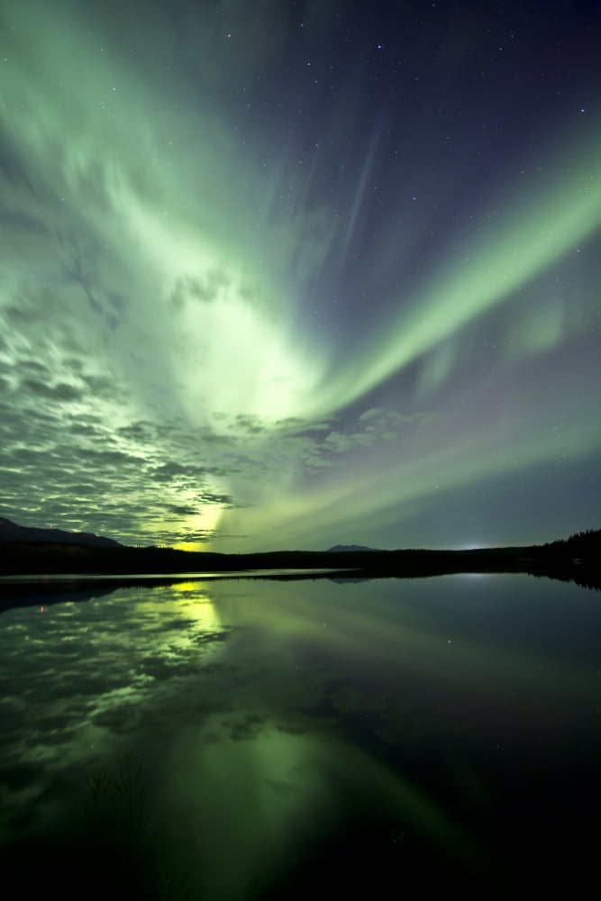 Aurora borealis over Schwatka Lake Yukon Canada Canvas Art - Jonathan TuckerStocktrek Images (12 x 18)