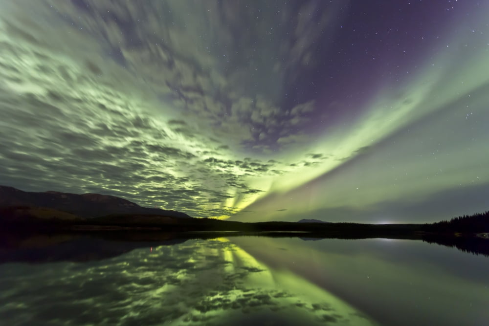 Aurora borealis over Schwatka Lake Yukon Canada Canvas Art - Jonathan TuckerStocktrek Images (35 x 23)
