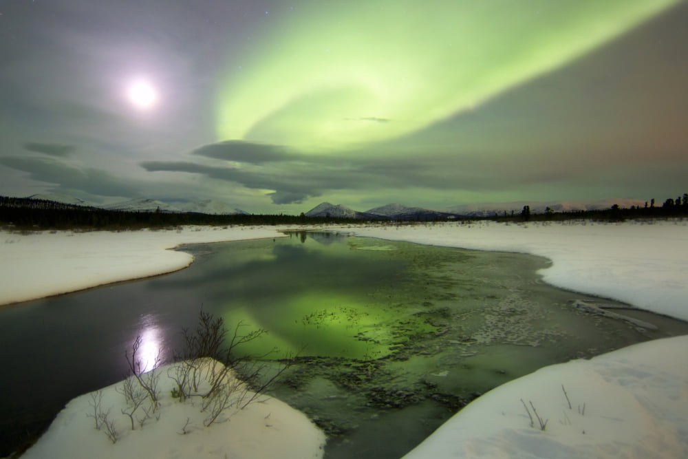 Aurora borealis over a creek by Fish Lake Whitehorse Yukon Canada Canvas Art - Joseph BradleyStocktrek Images (35 x 23)