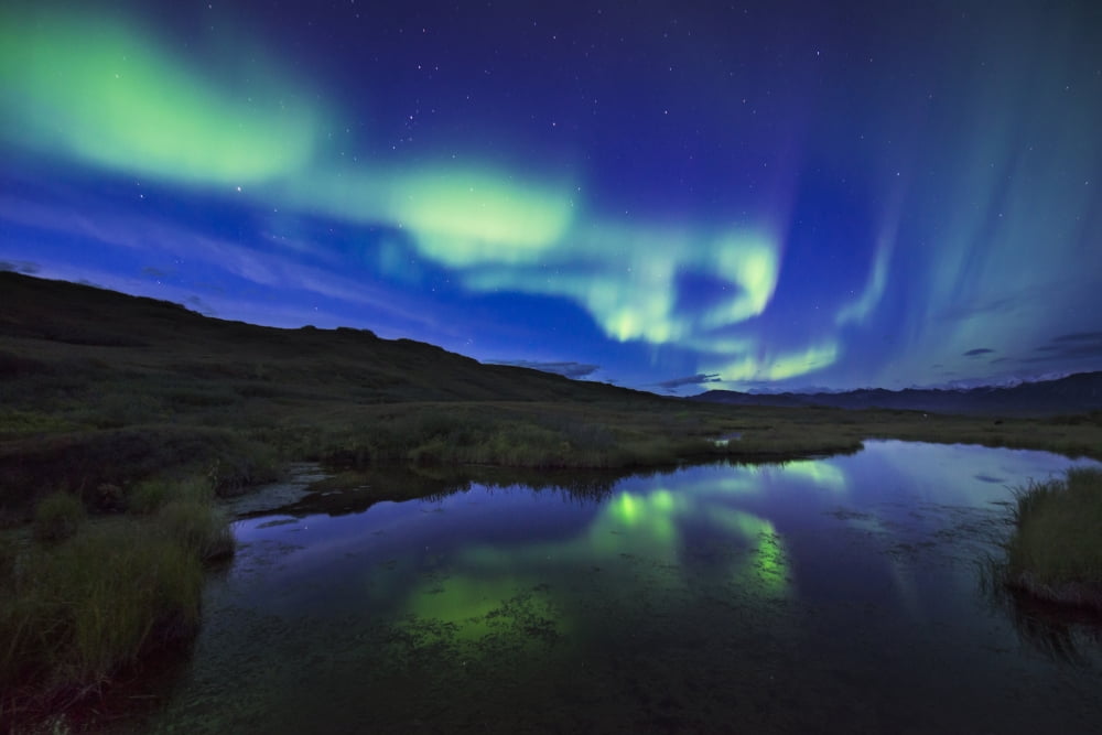 Aurora borealis over a pond in Denali National Park & Preserve Alaska Canvas Art - Carl Johnson Design Pics (38 x 24)