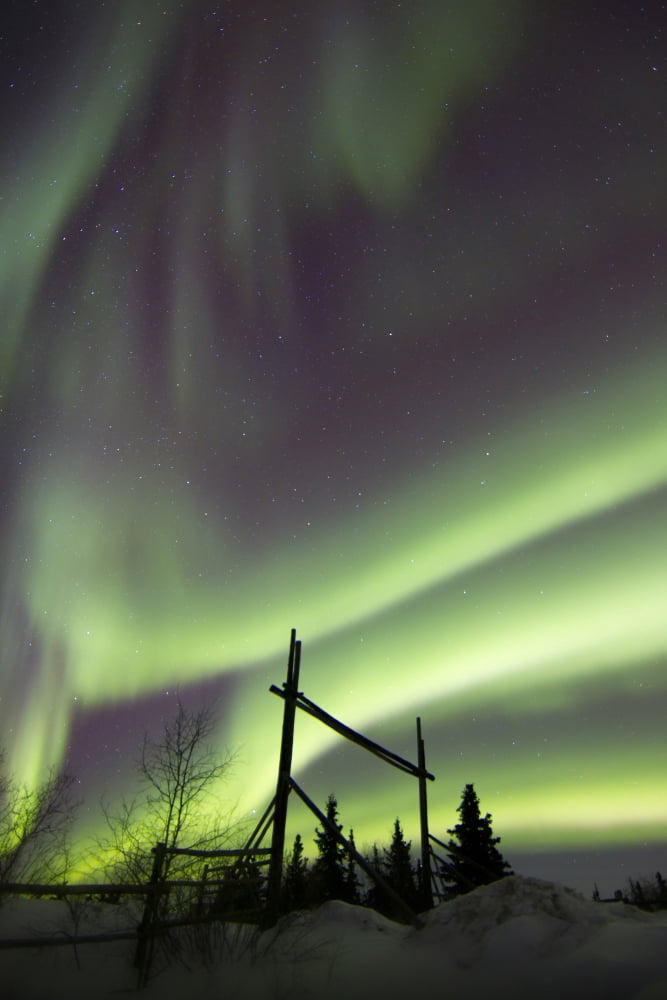 Aurora borealis over a ranch Whitehorse Yukon Canada Canvas Art - Joseph BradleyStocktrek Images (12 x 18)
