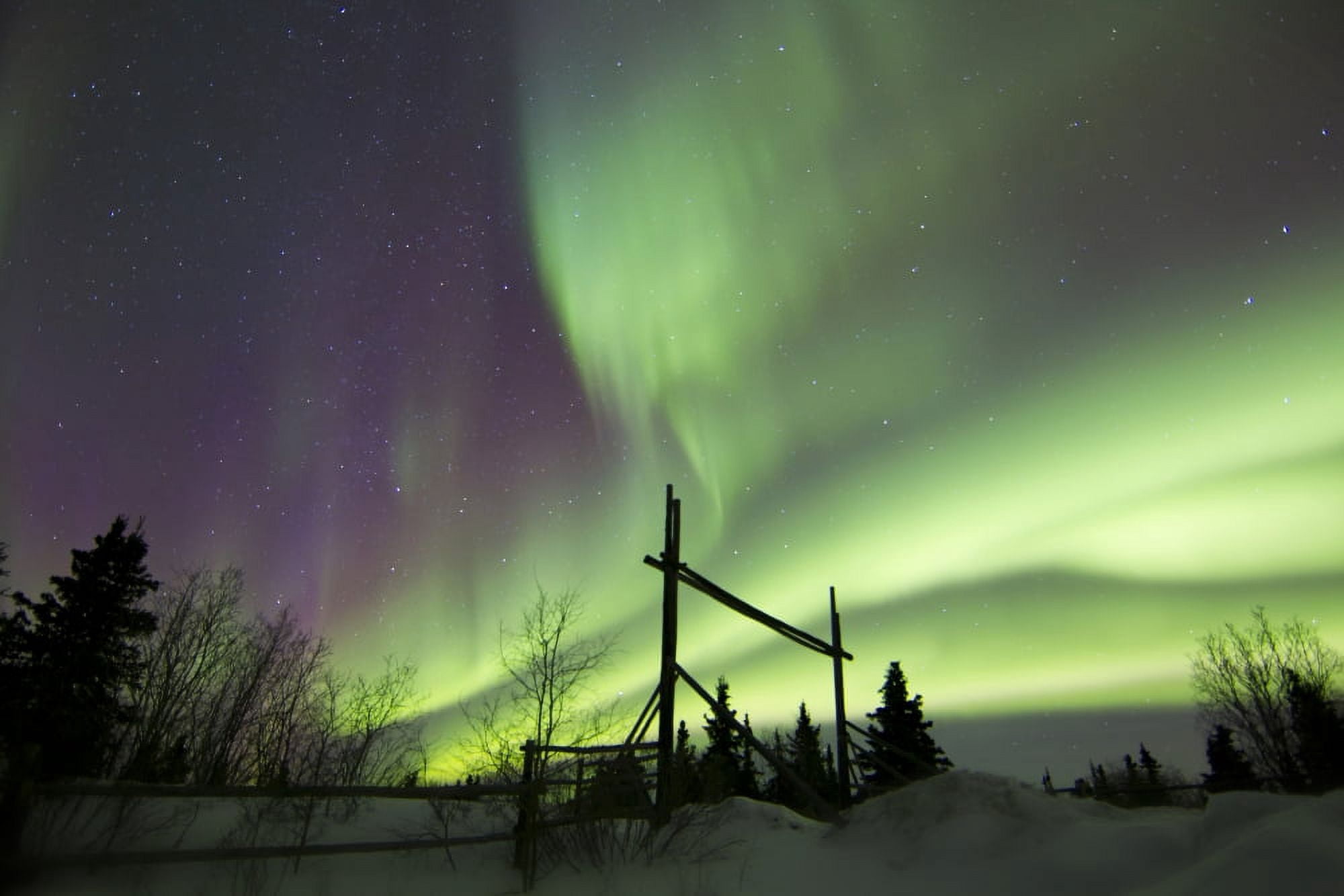 Aurora borealis over a ranch Whitehorse Yukon Canada Canvas Art - Joseph BradleyStocktrek Images (18 x 12)