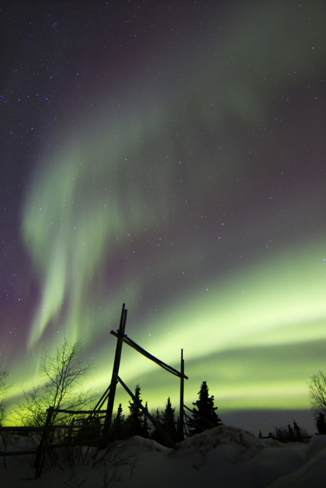 Aurora borealis over a ranch Whitehorse Yukon Canada Canvas Art - Joseph BradleyStocktrek Images (23 x 35)