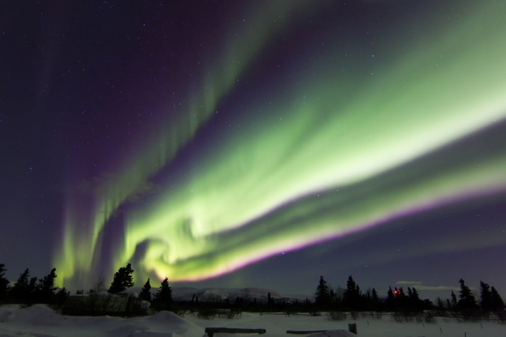 Aurora borealis over a ranch Whitehorse Yukon Canada Canvas Art - Joseph BradleyStocktrek Images (35 x 23)