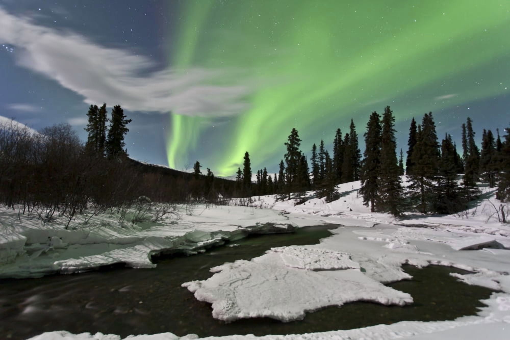 Aurora borealis over creek Yukon Canada Canvas Art - Jonathan TuckerStocktrek Images (35 x 23)