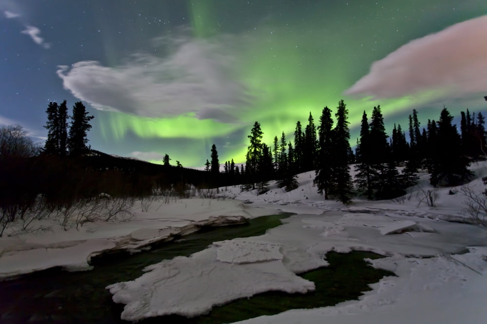Aurora borealis over creek Yukon Canada Canvas Art - Jonathan TuckerStocktrek Images (35 x 23)