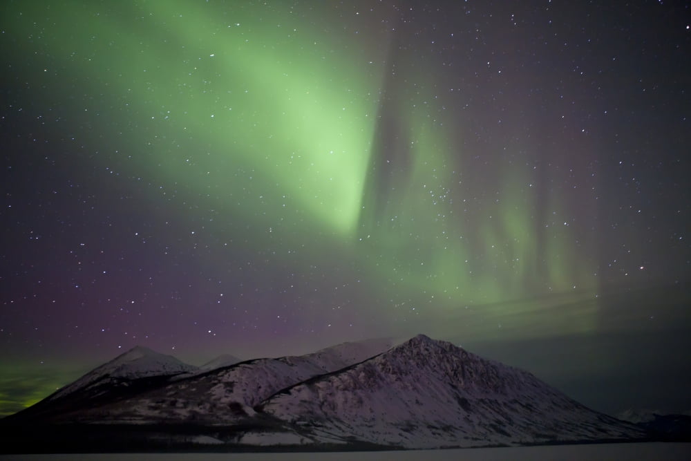 Aurora borealis over mountain range Carcross Yukon Canada Canvas Art - Jonathan TuckerStocktrek Images (35 x 23)