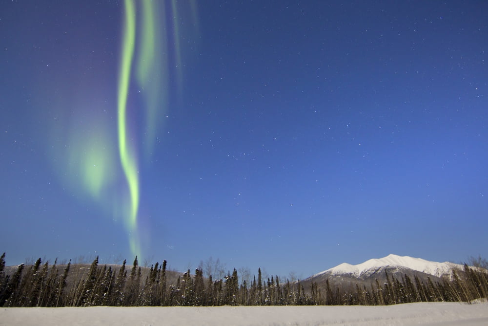 Aurora borealis over mountain with moonlight near Mayo Yukon Canada Canvas Art - Joseph BradleyStocktrek Images (35 x 23)