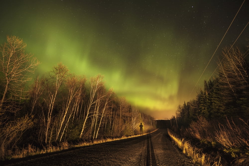 Aurora borealis over road Thunder Bay Ontario Canada Canvas Art - Susan Dykstra Design Pics (38 x 24)