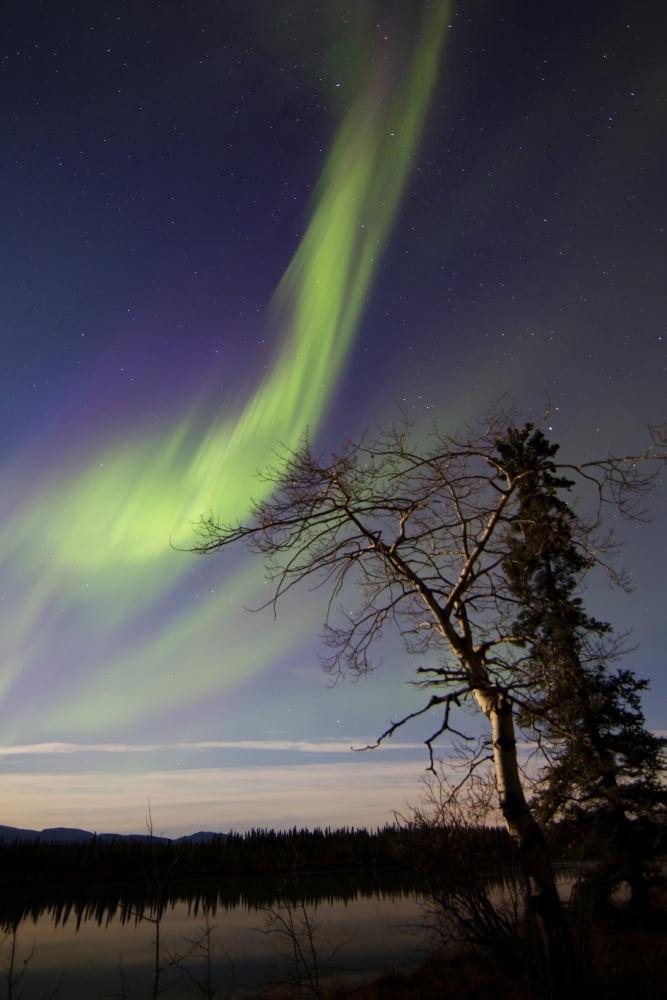 Aurora borealis over the Yukon River Whitehorse Canada Canvas Art - Joseph BradleyStocktrek Images (12 x 18)