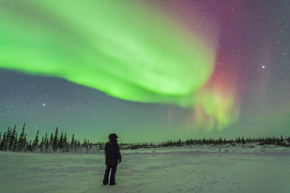 Aurora borealis with Vega and Arcturus stars over Churchill Manitoba Canada Canvas Art - Alan DyerStocktrek Images (34 x 23)